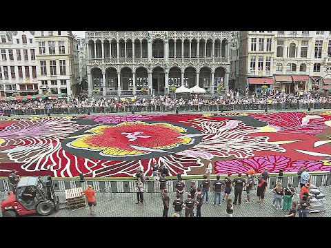 Цветочный ковёр в Брюсселе в этом году изменил традиции