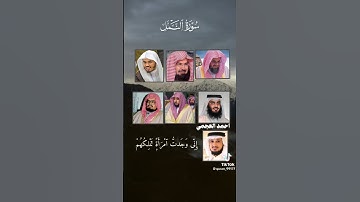 سورة النمل بتلاوات مختلفة 😍 اي قارئ تفضل؟ 🤔 #قرآن #قران_كريم #تجويد #راحة_نفسية #تلاوات #تلاوة_خاشعة