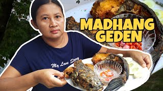mukbang ikan gabus jumbo!!!!  | food vloger Indonesia