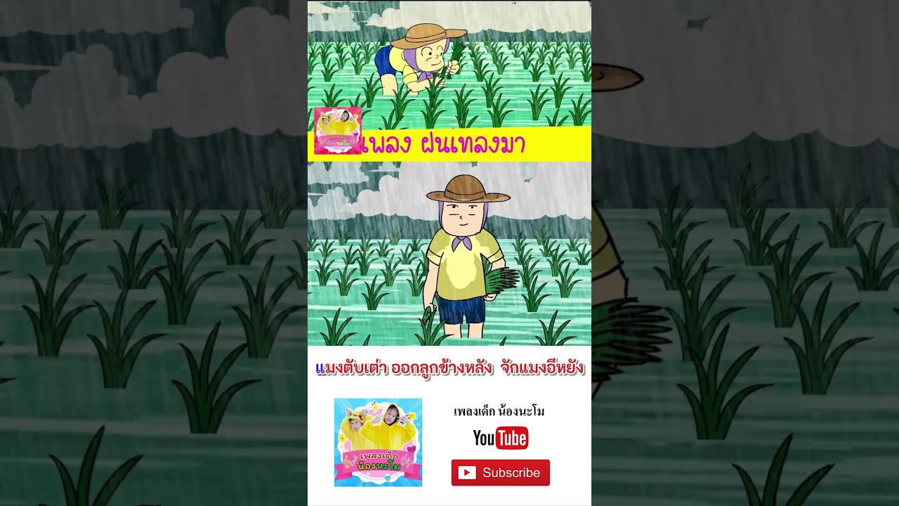 หนอนผีเสื้อ vs ฝนเทลงมา