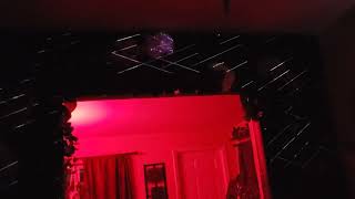 Flower Wall by Luxaria Lighting - Projection Mapping Lightform Demo