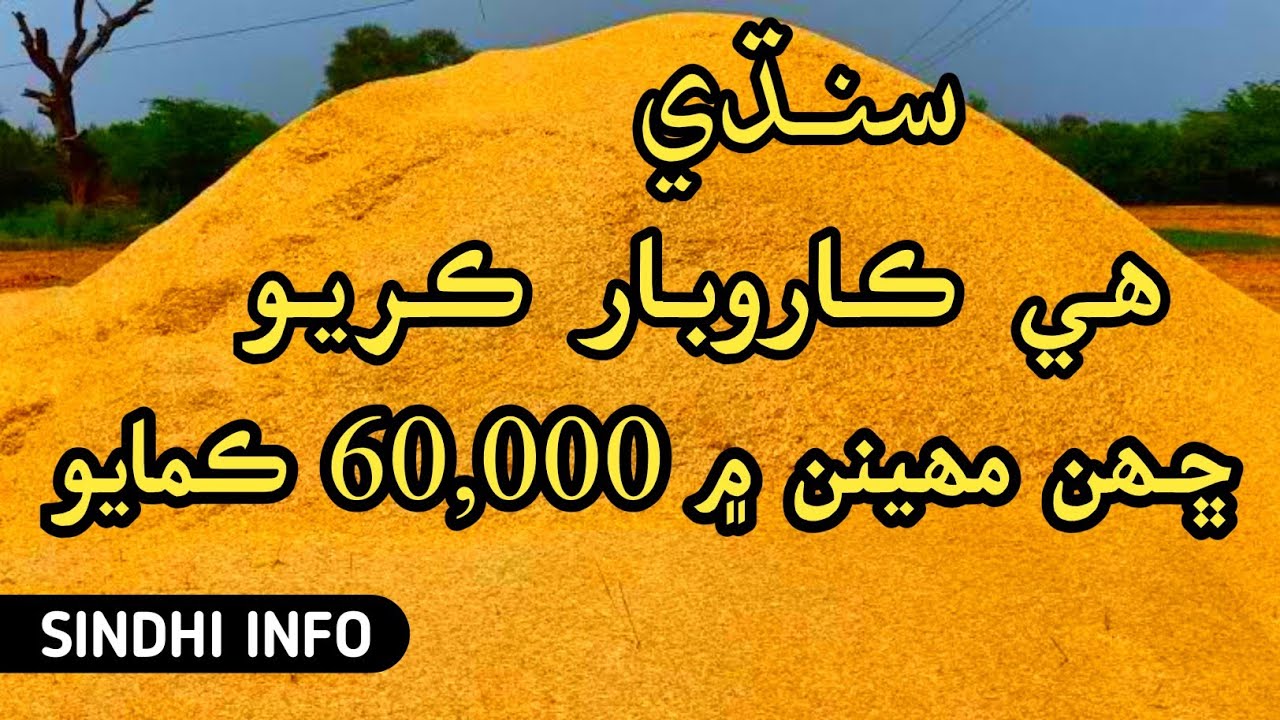 Sindhi Business Idea سنڌي  - SINDH -  || ڀُوھ جو ڪاروبار ||