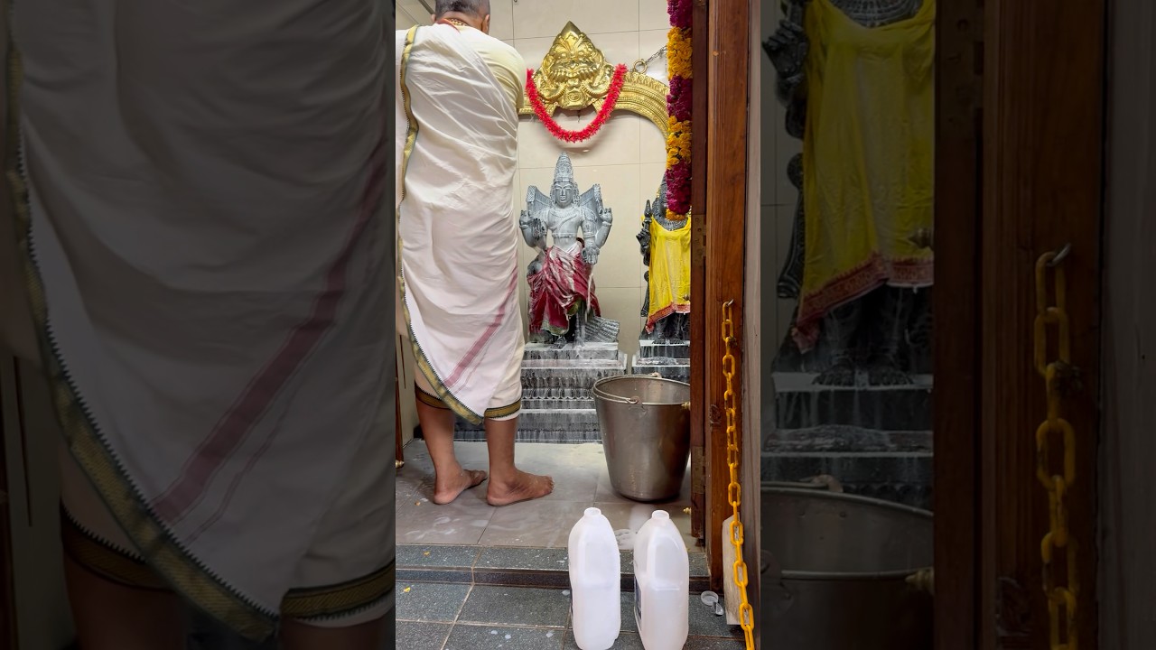 முருகன் சுவாமிக்கு பால் அபிஷேகம் வேண்டுதல் 🙏✨ | JOINWITHLP #muruganthunai #murugansongs