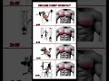 YOU WANNA GET BIGGER LOWER CHEST TRY THIS Gym Decline Chest Workout YOU WANNA GET BIGGER LOWER CHEST TRY THIS Gym Decline Chest Workout