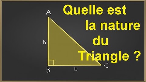 | Vidéo 04 | Les Triangles | C