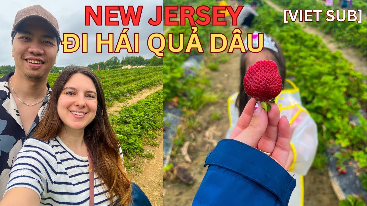 Strawberry Picking in New Jersey 🍓 | Đi hái quả dâu ở Mỹ [VIET SUB]