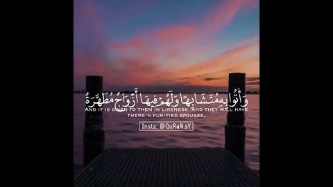 قرآن كريم القارئ رعد الكردي 💌⚡ أجمل حالات واتس اب دينية مقاطع دينية قصيرة مقاطع انستقرام دينية