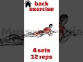 the 3 best back exercises #shorts