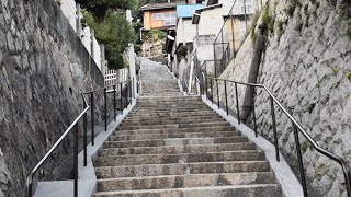 猫の細道で猫探し散歩Live