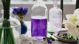 Wild Violet Syrup Recipe