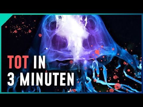 Video: Wie viel Umweltverschmutzung tötet SEA LIFE?