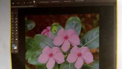 10 /10/2020 || Class 8|| Sub - Computer|| chapter 6 || Introduction To Photoshop