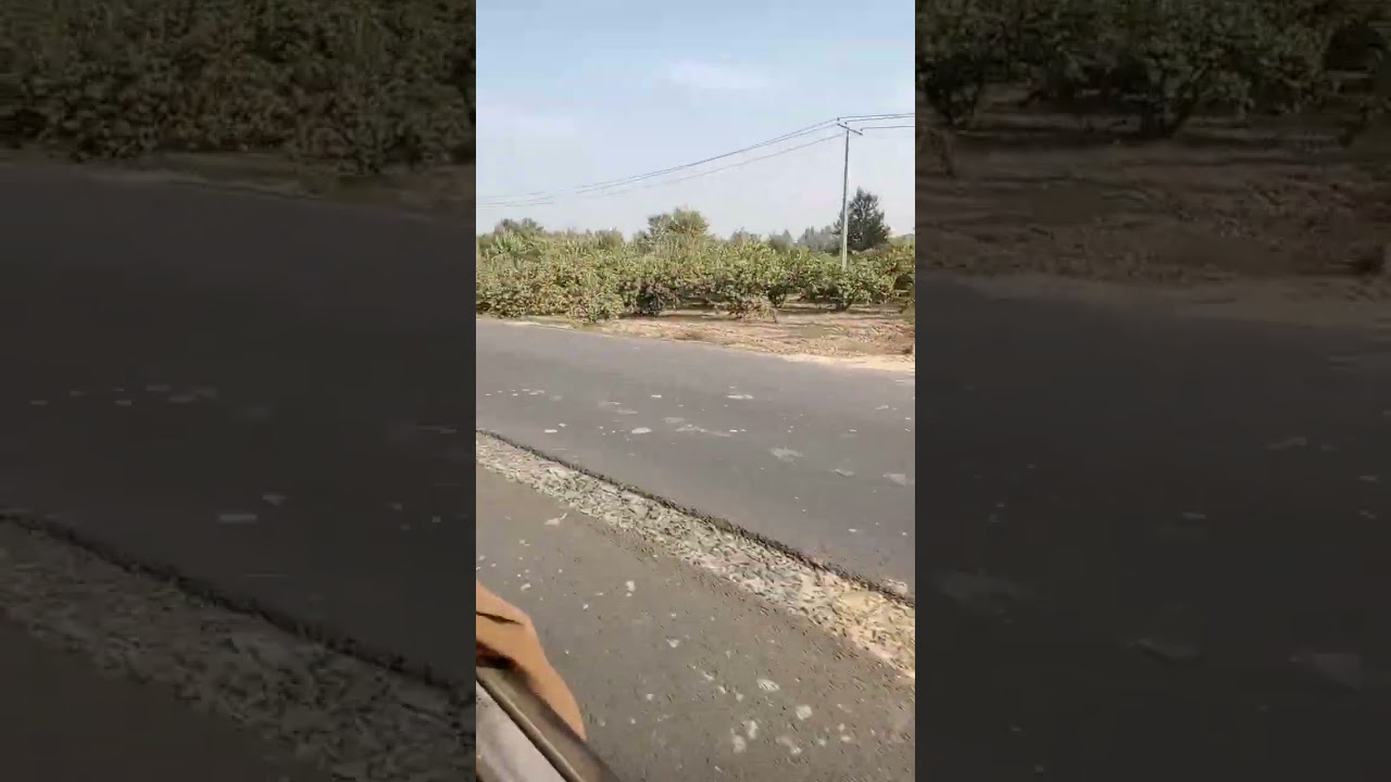 Journey from fsd to Sangla Hill |Traveling in Cheema bus. 