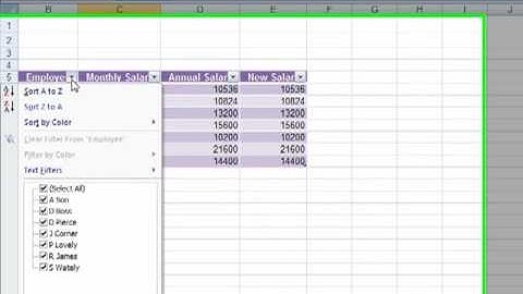 AM 4111 Apply a table style to a cell range Microsoft Excel 2007 ECDL Advanced ITQ3