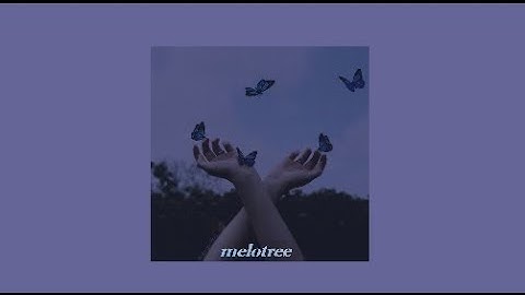 The Only Exception - Paramore [sped up + r e v e r b]