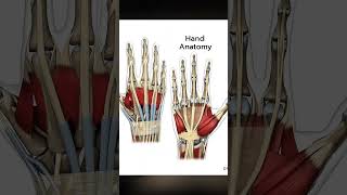 Leon thaaaa GOAT #residentevil9 #residentevil #re9 #leonkennedy #letsplays