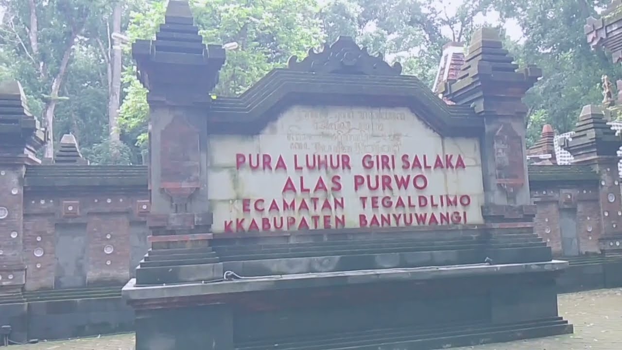 Hutan angker di alas Purwo