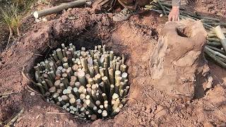 Primitive Life: Creating Charcoal for Wilderness Survival