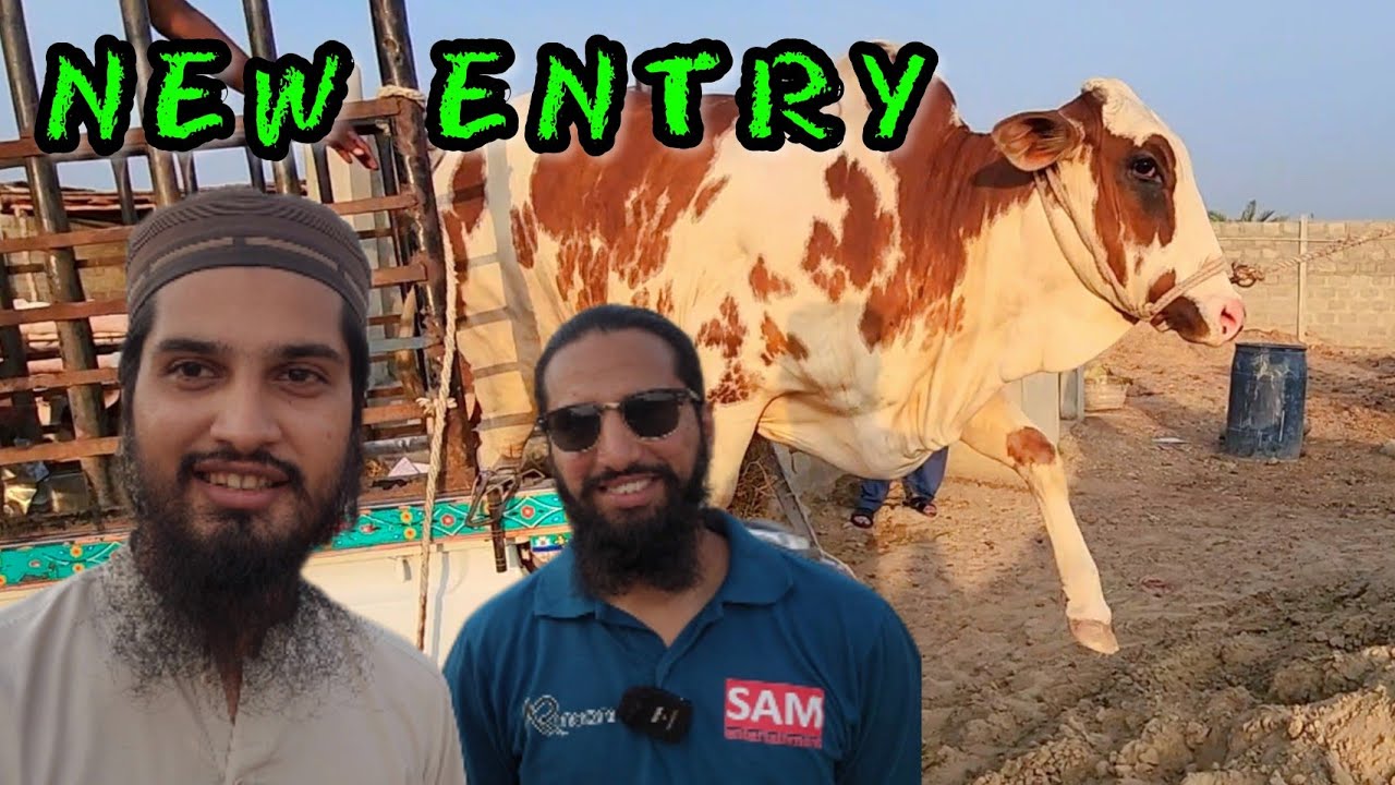 NEW ENTRY & UNLOADING at Karim's Cattle Farm ft. Cattle Market Karachi