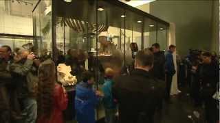 Bastanieuws: Tanja is terug in Artis