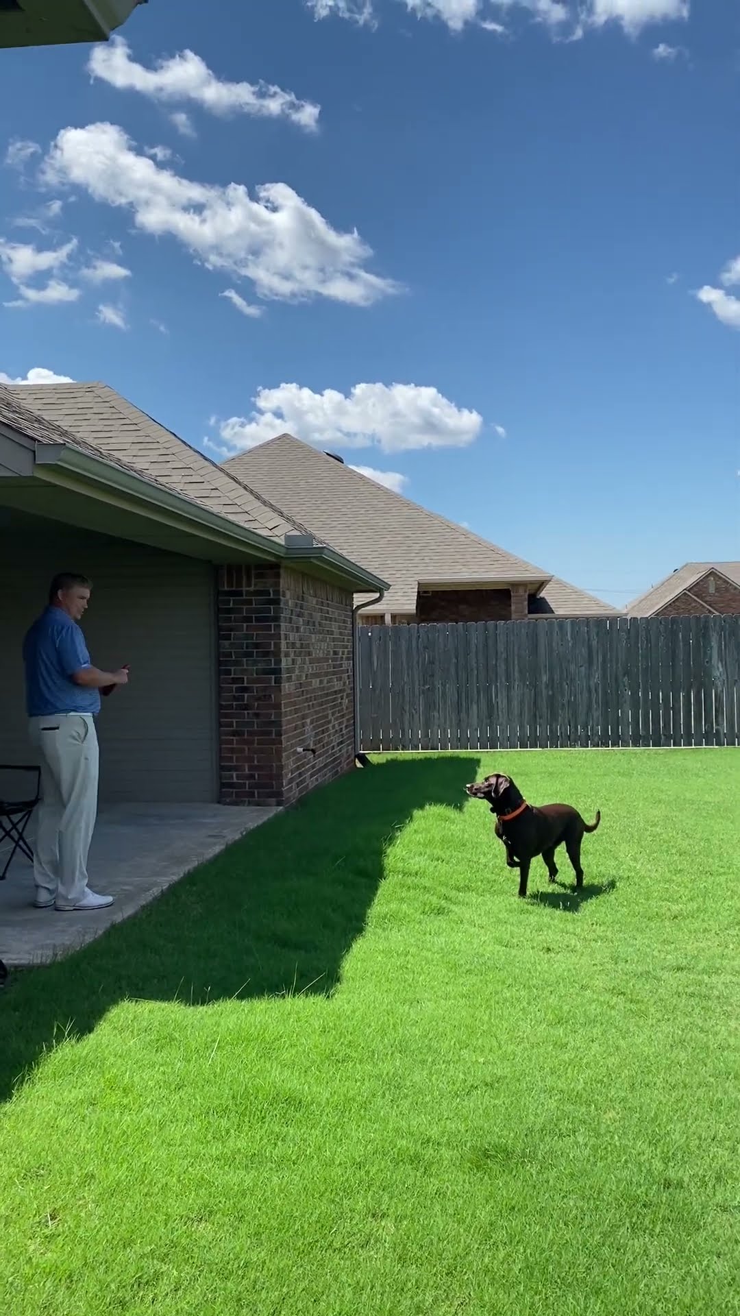 Dog Fails To Fly Over Fence Jump || ViralHog