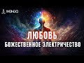 ❤️ В Любви оба Должны Стать Оголёнными Проводами, Пропуская Божественное Электричество ❤️ Ливанда 💎