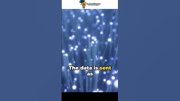 UTP Cables: The Data Highway