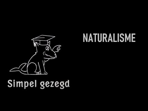 Video: Verschil Tussen Realisme En Naturalisme
