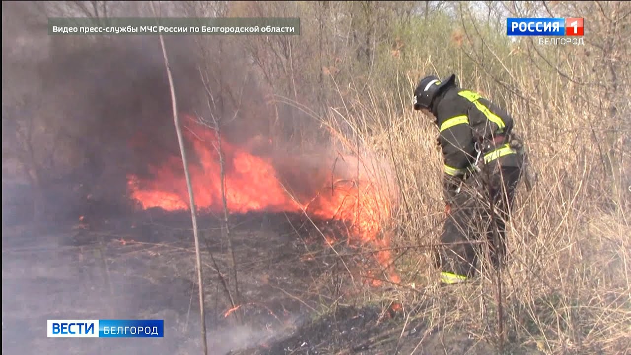 Случаи возгорания электромобилей Случаи возгорания электромобилей