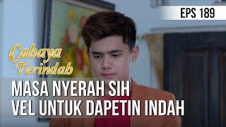 CAHAYA TERINDAH - Masa Nyerah Sih Vel Untuk Dapetin Indah [14 November 2019]