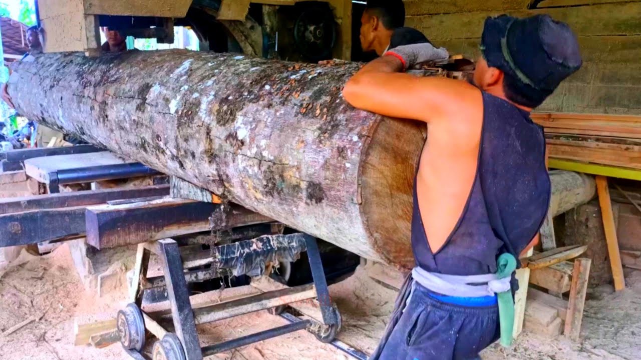 Amazing skill of sawing large logs with incredible precision - YouTube