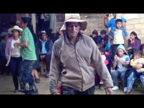 Fiesta en colmata Amazonas