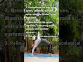Chakrasana Benefits