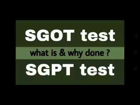 Video: SGOT-Test: Was Die Ergebnisse Bedeuten