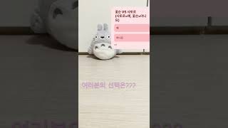 (설문조사)#142#짱러브티비# 여러분의선택은??!!?