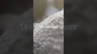 16s noisy asmr #asmr #shortasmr #moomin #fastasmr