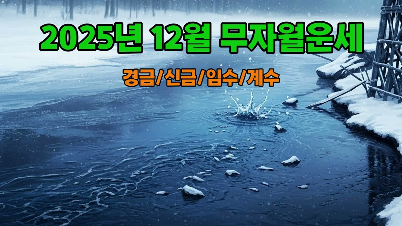 2025년 12월 무자월 경금/신금/임수/계수