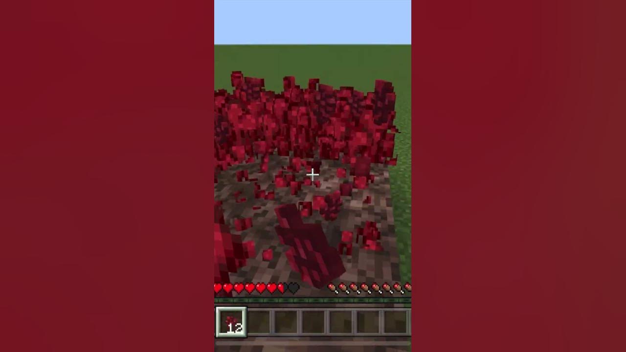 How much nether wart with fortune 3 in minecraft mcpe console pc