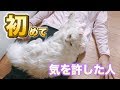 マロンが飼主以外に初めて心を開いた瞬間!