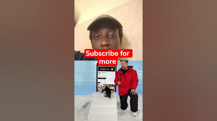 Mr Beast Subscribed #penguin #mrbeast #challenge #funny #short #viralvideo #trending #shorts