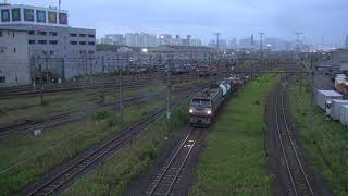 貨物列車 99レ EF66-27 2019/06/09 東京貨物ターミナル