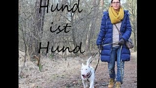 Hund ist Hund