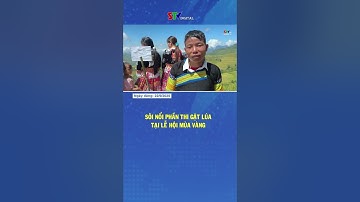 Sôi nổi phần thi gặt lúa tại Lễ hội Mùa Vàng