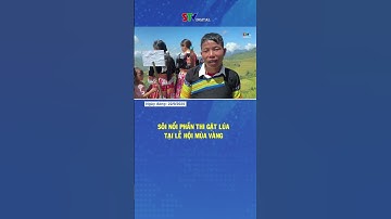 Sôi nổi phần thi gặt lúa tại Lễ hội Mùa Vàng