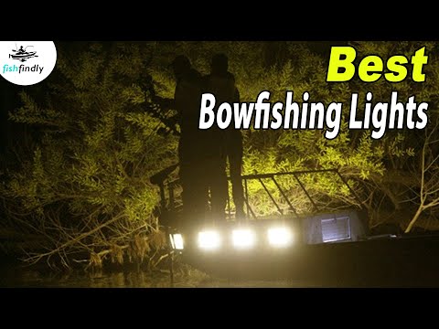 Best Bowfishing Lights In 2020 – Picked After Comparison With Best  Products! 