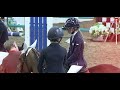 British Showjumping Highlights November 2023