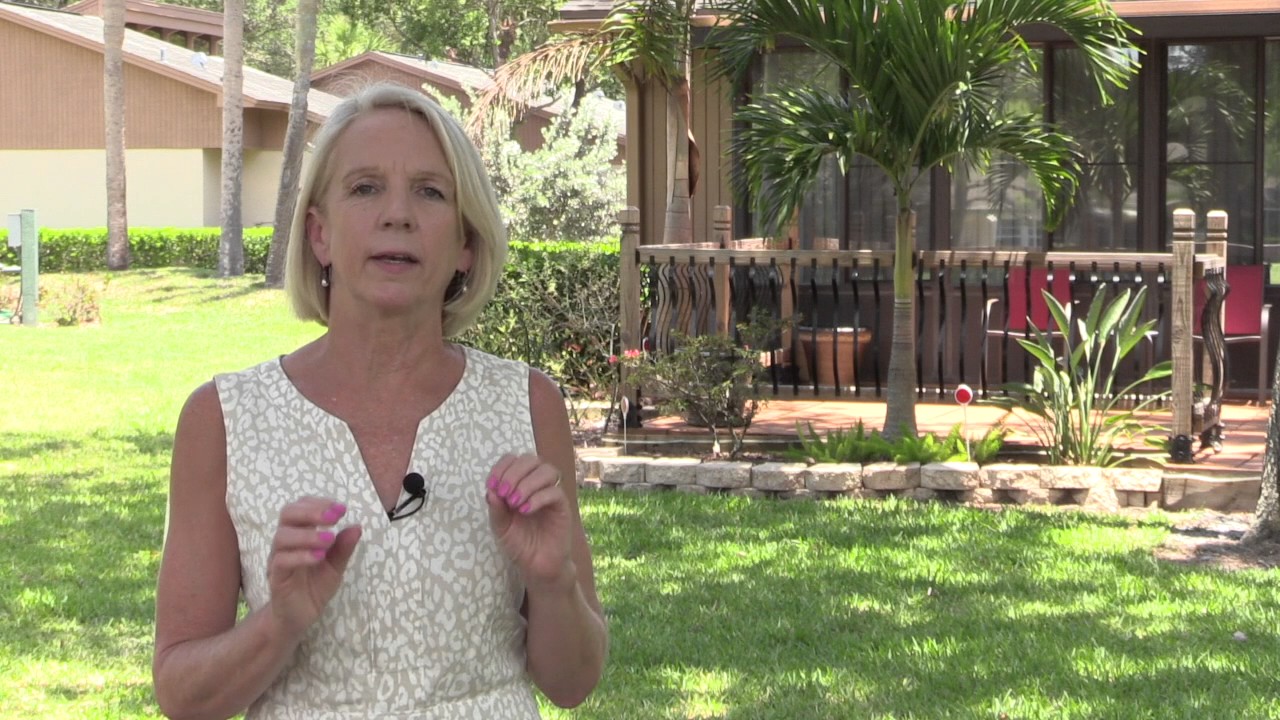 Tampa Property Management, Oldsmar, East Lake Palm Harbor FL Leasing HOA