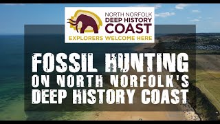 Fossil Hunting on the Deep History Coast