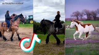The Best HORSE 🐎 TikTok Compilation #119