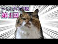 ディス子の部屋 第1回『君の名は』